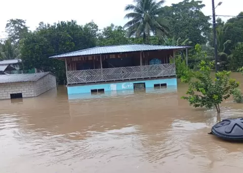 Lluvias intensas, inundaciones y fr�o extremo son algunos de los efectos m�s visibles del cambio clim�tico en Ecuador.