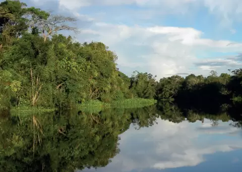 La Ley de �reas Protegidas fue aprobada en la Asamblea Nacional.