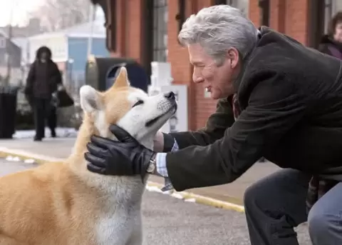 Mascotas despiden a due�os fallecidos gracias al Protocolo Haru emocional.
