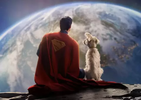 El efecto Krypto ha provocado un aumento significativo de la adopci�n de perros.