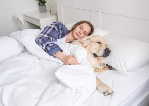 Los perros ayudan a las mujeres a tener una mejor calidad de sue�o.