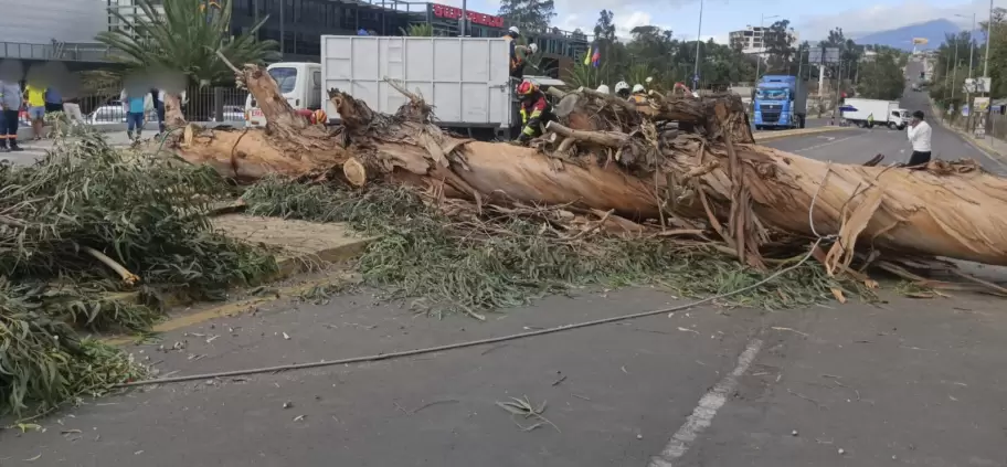 La emergencia fue reportada por el ECU911