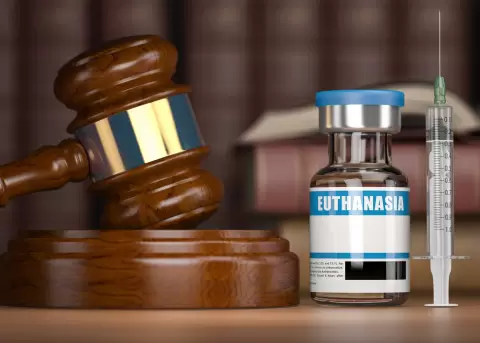 Desde el 5 de febrero de 2024 la eutanasia es legal en Ecuador.