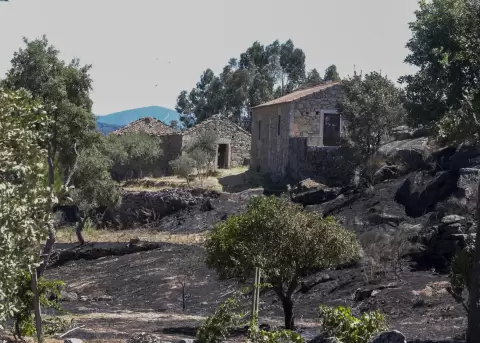 Pueblo de Aldeia do Bispo, concejo de Penamacor,calcinada por el incendio de la localidad portuguesa pr�xima a C�ceres.