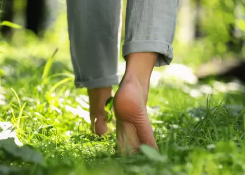 La Tierra tambi�n puede sanar.