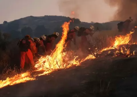 Un equipo de bomberos del Departamento de Correccionales de California combate el incendio Canyon el jueves en Halsey Canyon, California.