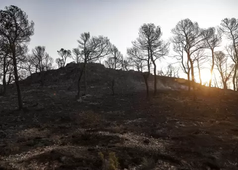 Im�gen del incendio de Teresa de Cofrentes (interior sur de Valencia).