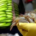 Ecuador negocia con EE. UU. reducción de aranceles para lista de productos de exportación, anuncia el Gobierno