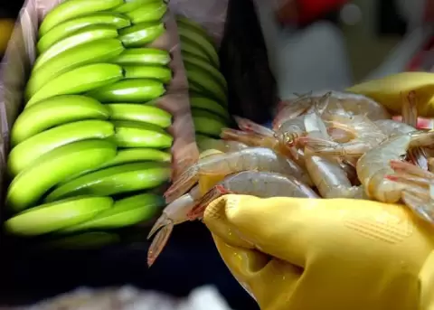 Aranceles comerciales