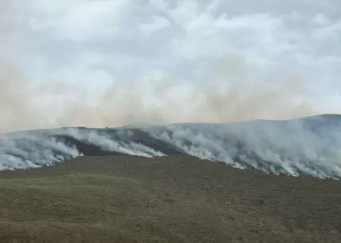Incendio forestal en el Parque Nacional Cotacachi Cayapas.