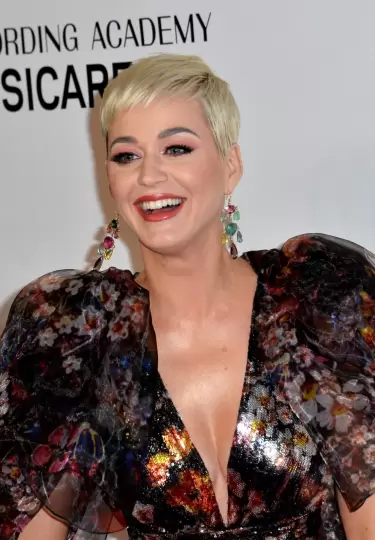 Katy Perry es investigada por una presunta agresi�n sexual.