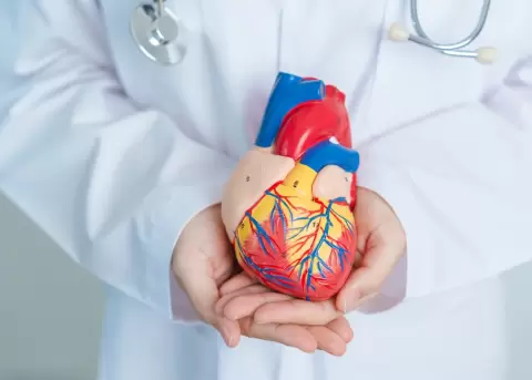 Los h�bitos sanos que apliquemos en nuestra vida, nos ayudar�n a cuidar nuestro coraz�n.