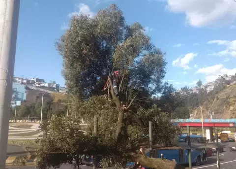 Alerta meteorol�gica