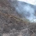 Incendio forestal en Ca�ar ha consumido 287 hect�reas; 120 efectivos trabajan en la zona