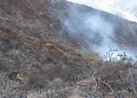 Incendio forestal en Ca�ar ha consumido 287 hect�reas