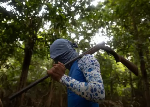 Informe revela control criminal sobre comunidades amaz�nicas