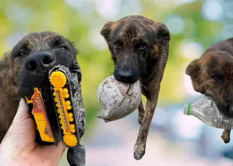 Snickers entrega regalos todos los d�as como agradecimiento por recibir alimentos.