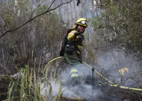 Incendio forestal en San Juan, Quito, contin�a activo; bomberos mantienen labores de control