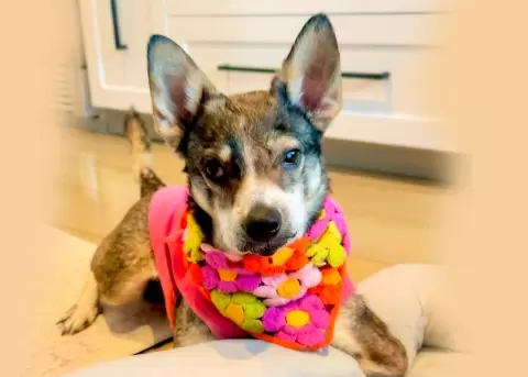 Amira logra caminar gracias a unas pr�tesis.