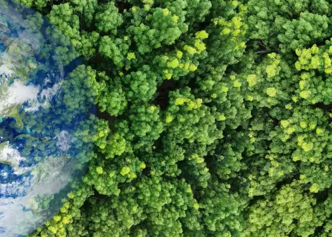 Innovaci�n, biodiversidad y acci�n regional se unen en Cali 2025.