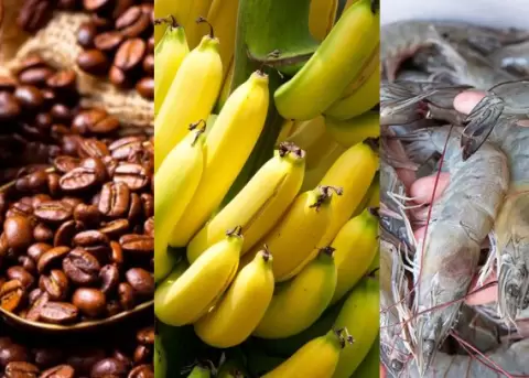 Durante el primer semestre de 2025, las exportaciones ecuatorianas hacia China crecieron un 11,6 %, con el camar�n, el banano y el cacao .