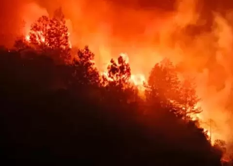 Un incendio forestal registrado en Loja.