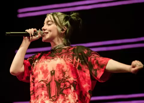 La cantante de Bad Guy cay� contra la barricada tras ser sujetada por un fan mientras saludaba al p�blico.