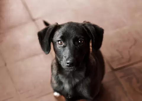 Negro ha conmovido a usuarios en redes por su tierno gesto.