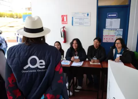 Observaci�n electoral