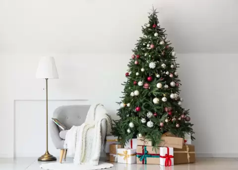 Creatividad, reciclaje y tendencias: Natalia Landaluce de Atix transforma espacios hogares.