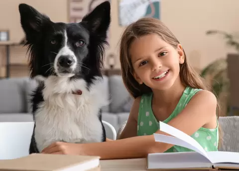 Estudiantes colombianos aprender�n sobre protecci�n animal.
