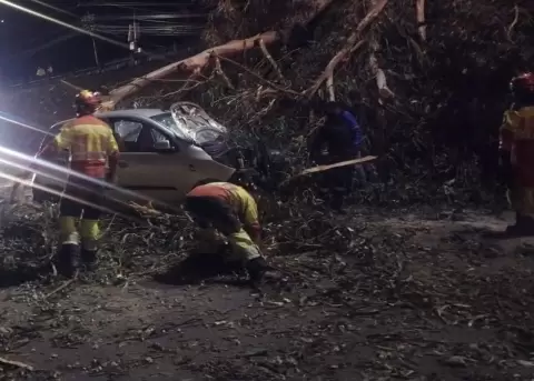 El Cuerpo de Bomberos de Quito desplaz� a 16 uniformados y 5 veh�culos ante la ca�da de �rboles en la avenida Occidental, el 6 de noviembre de 2025.