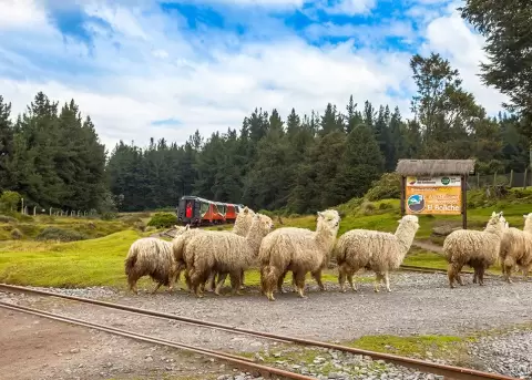 El Ministerio del Ambiente suspende temporalmente el acceso al �rea de Recreaci�n El Boliche