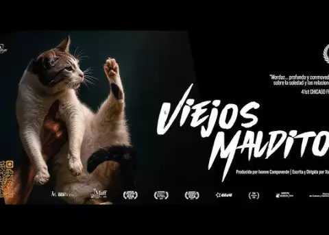 Viejos Malditos, un film ecuatoriano con un gato de protagonista.