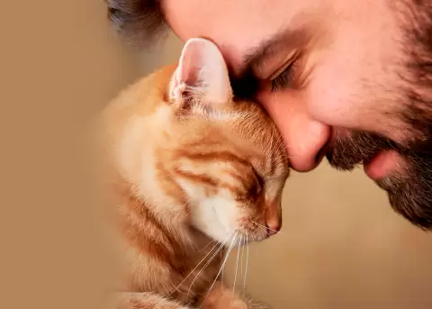 El apego que generamos con los gatos nos hacen m�s emp�ticos.