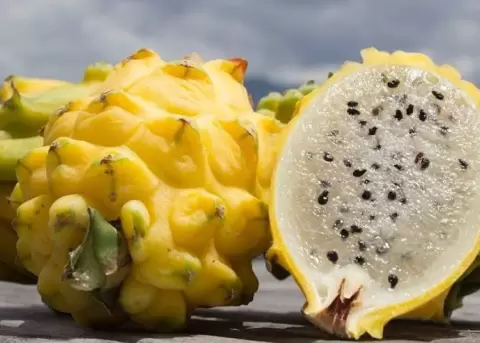 Ecuador y Per� firman un acuerdo bilateral que marca un hito en el comercio agropecuario entre ambos pa�ses.