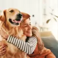 Un estudio asegura que los golden retriever y los seres humanos comparten características