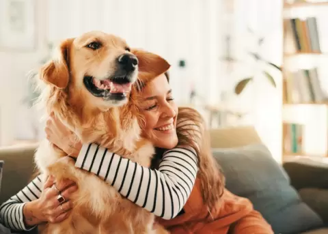 Los golden retriever y los seres humanos compartimos genes.