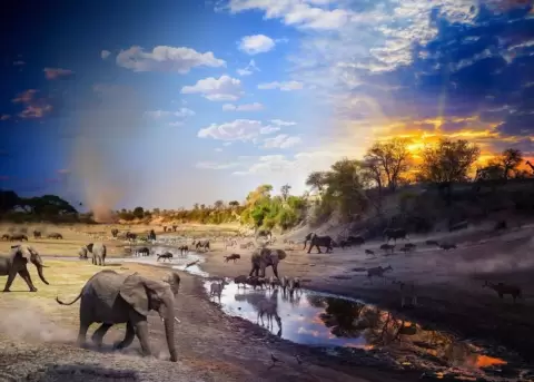 National Geographic revel� las mejores fotograf�as de este a�o.