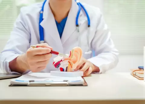 La exposici�n a la pirotecnia puede causar da�os irreversibles en nuestra audici�n.