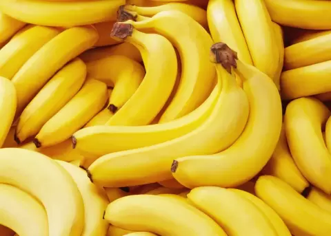 Agrocalidad confirm� la presencia del hongo Fusarium Raza 4 Tropical (Foc R4T) en una finca de la provincia de El Oro y declar� emergencia.