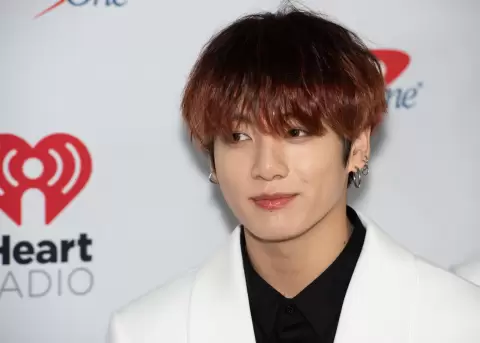 Fan arrestada por violar la Ley Anti-Acoso de Corea del Sur.