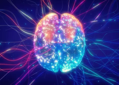 Debemos aprovechar la neuroplasticidad para crear nuevos h�bitos.