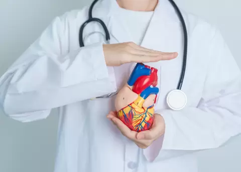 La importancia de los chequeos m�dicos cardiovasculares.