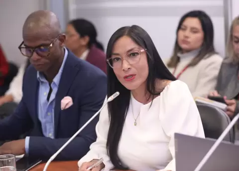 La asamble�sta Ana Herrera (RC), en la sesi�n de la Comisi�n de Fiscalizaci�n del 12 de enero de 2026.