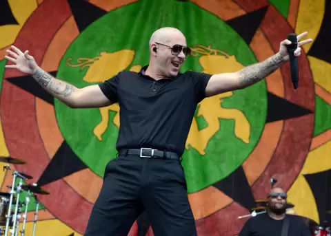 Pitbull est� de regreso.