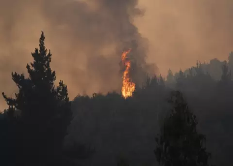 Incendio forestal en la comuna de Chaim�vida, en Concepci�n a unos 491 km aproximadamente de Santiago (Chile).