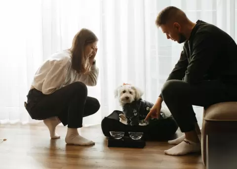Presencia de fauna en el Metro de Quito.