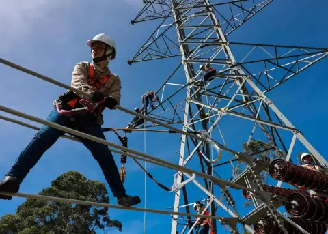 Trabajadores del sector el�ctrico.