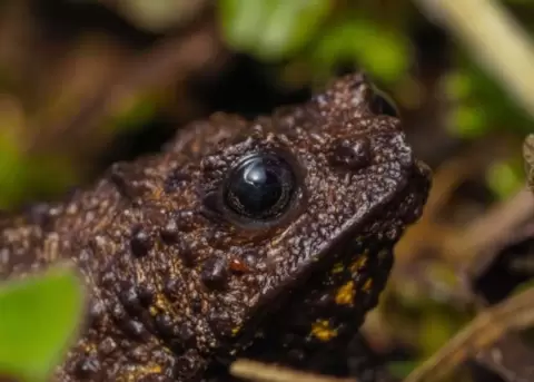 Ecuador: pa�s megadiverso.